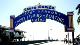 グーフィ森の『Single Speaker』